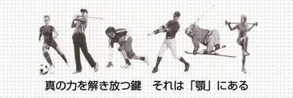 真の力を解き放つ鍵 それは「顎」にある