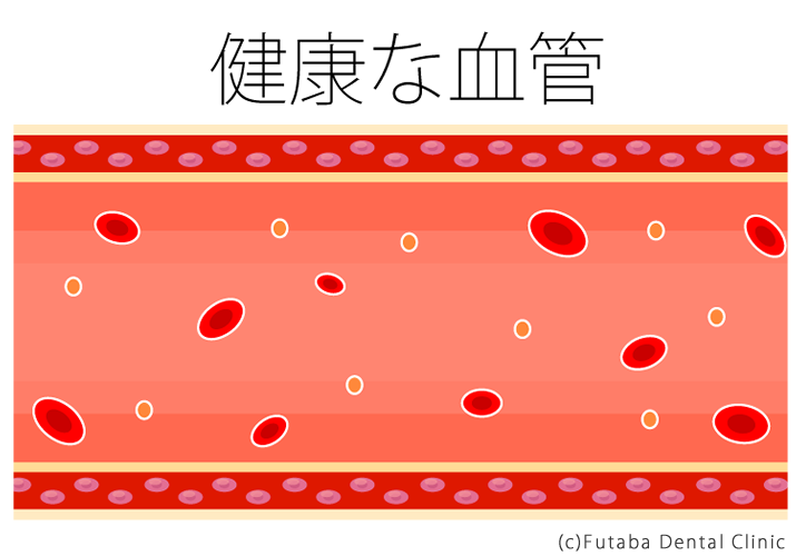 健康な血管